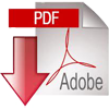 PDF